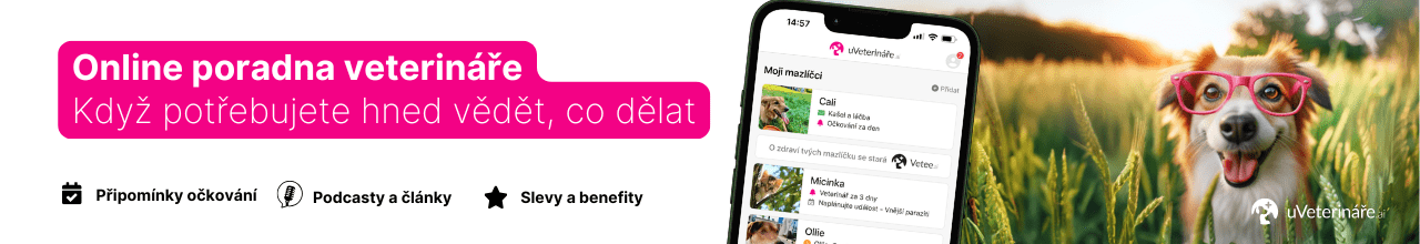 Online veterinární poradna zdarma pro naše klienty 24/7