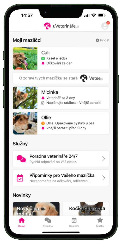 Online veterinární poradna 24/7 zdarma pro klienty OK-VET